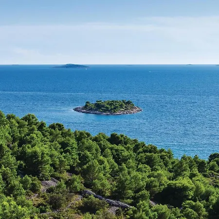 Cozy In With Kitchen Apartman