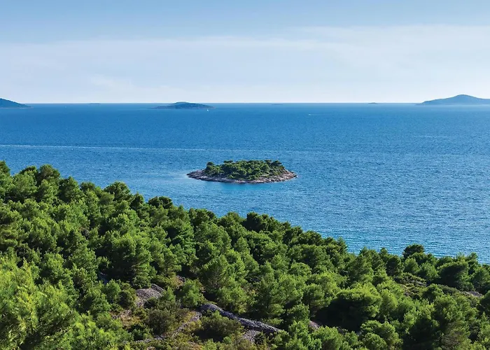 Cozy In With Kitchen Appartement
